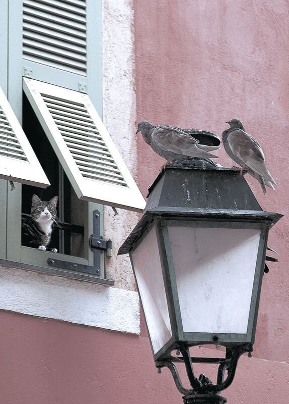 kaiyun中国官方网站-_青少年科学与运动结合：科技助力网球训练_，青少年 网球