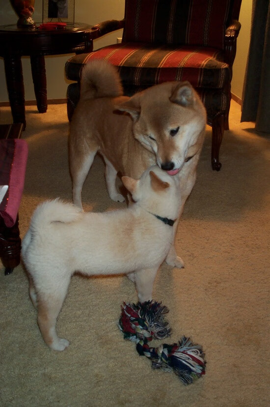 开云入口-“德甲明星连续发威：豪门战绩稳步提升”，德甲名人