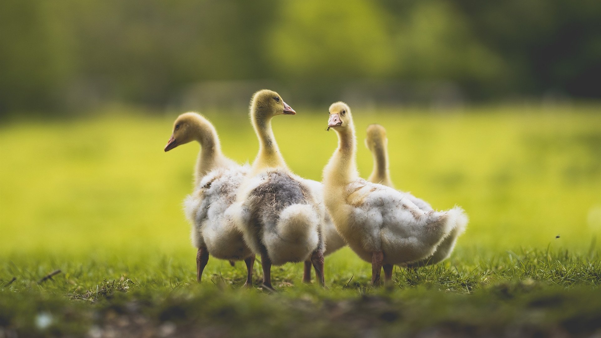 开云官方网站-【大数据助力】如何让战术决策更科学、更精准？，战术决策案例