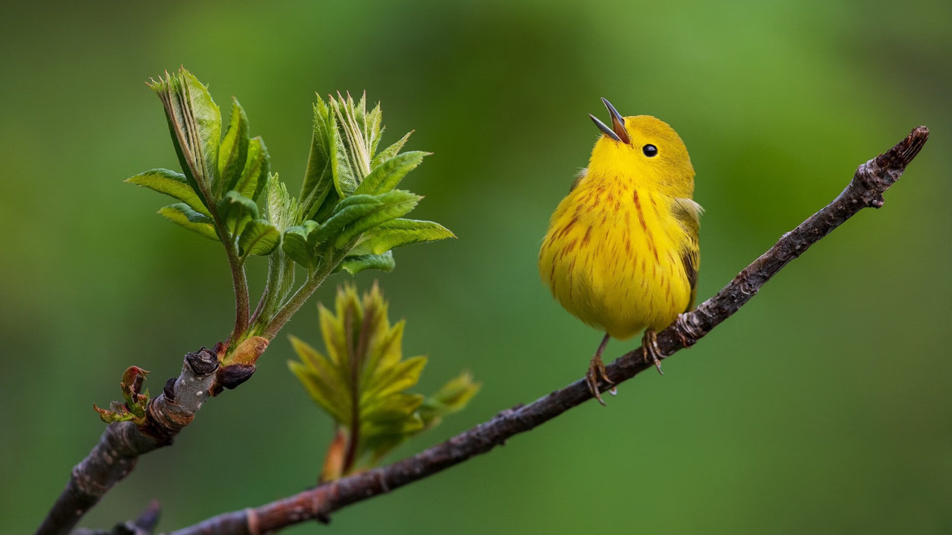 kaiyun官方入口登录-《虚拟偶像与电竞结合，开启行业新模式》，虚拟偶像作品有哪些