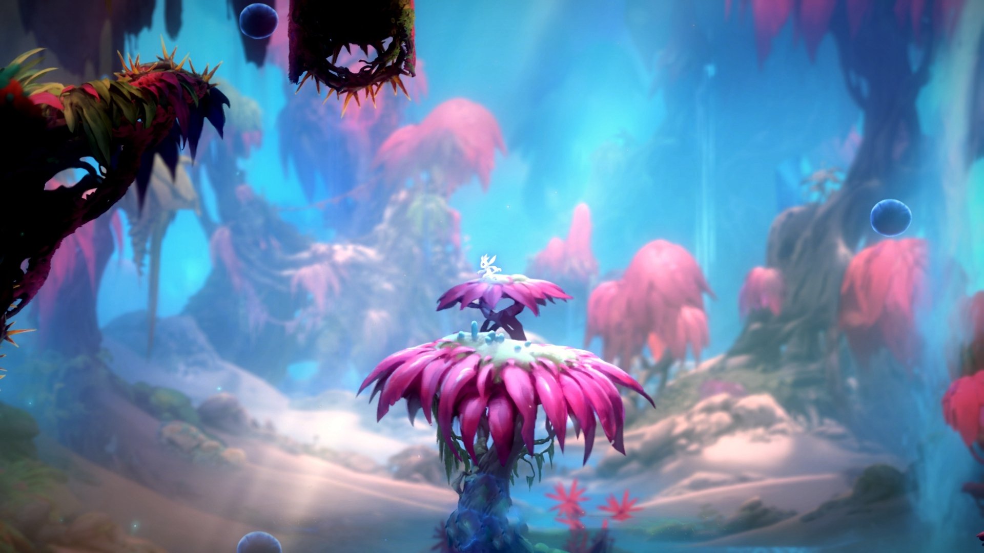 开云·体育官网APP下载-中国足球国际合作成果丰硕，青训交流合作不断深化，中国足协合作伙伴