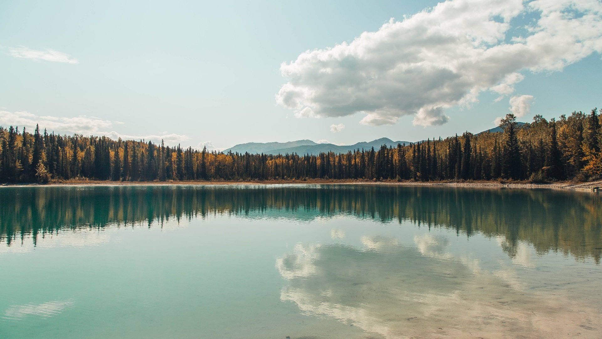 全国青少年足球选拔赛火热进行,未来之星纷纷亮相,2021青少年足球全国邀请赛