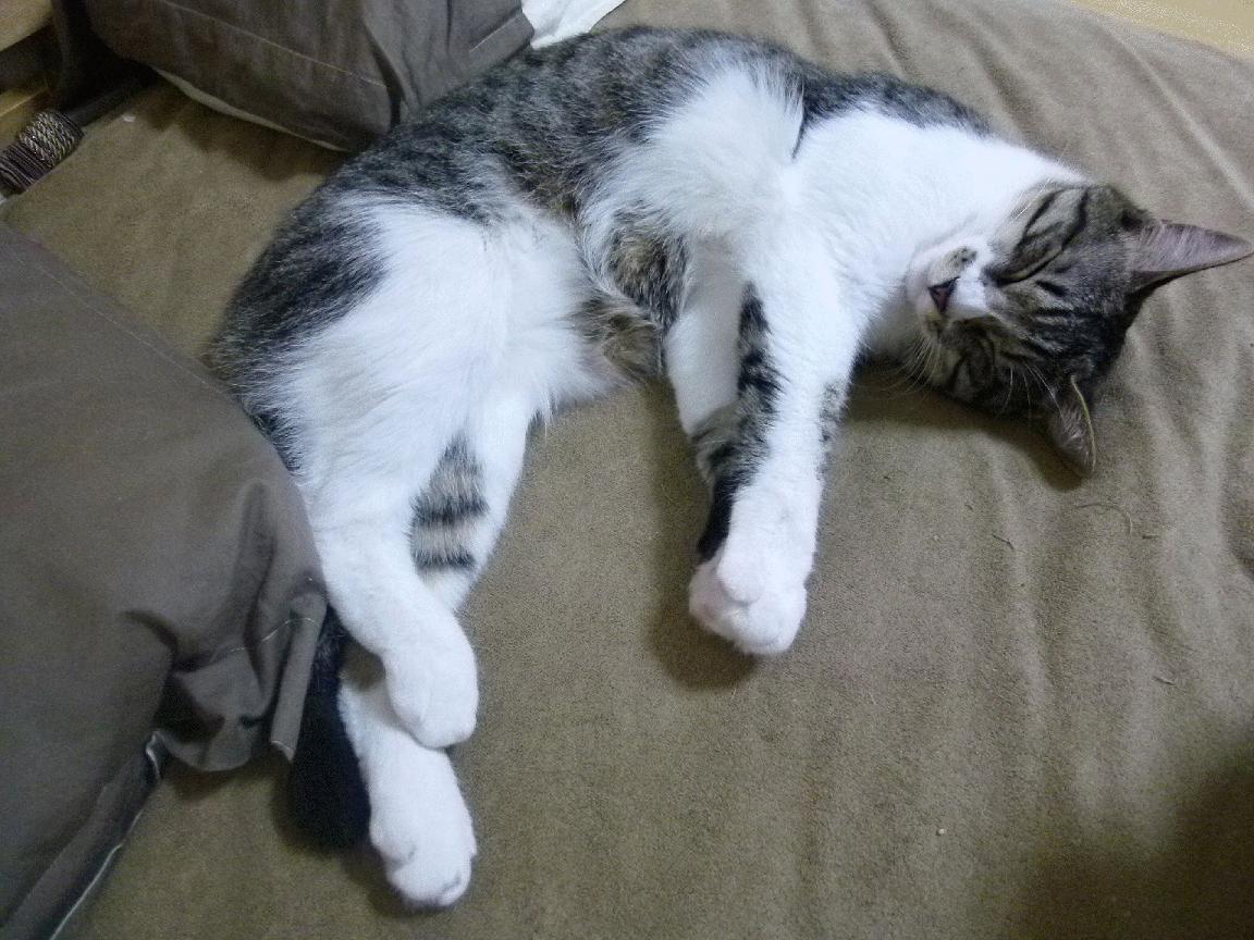 开云官方网页登录-巨星再聚首：多位传奇在季后赛中上演“怀旧盛宴”，精选传奇巨星包名单