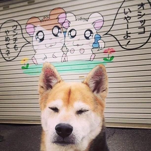 开云官网-球队排名：联盟最新期望值排行榜，联盟最有价值的球员