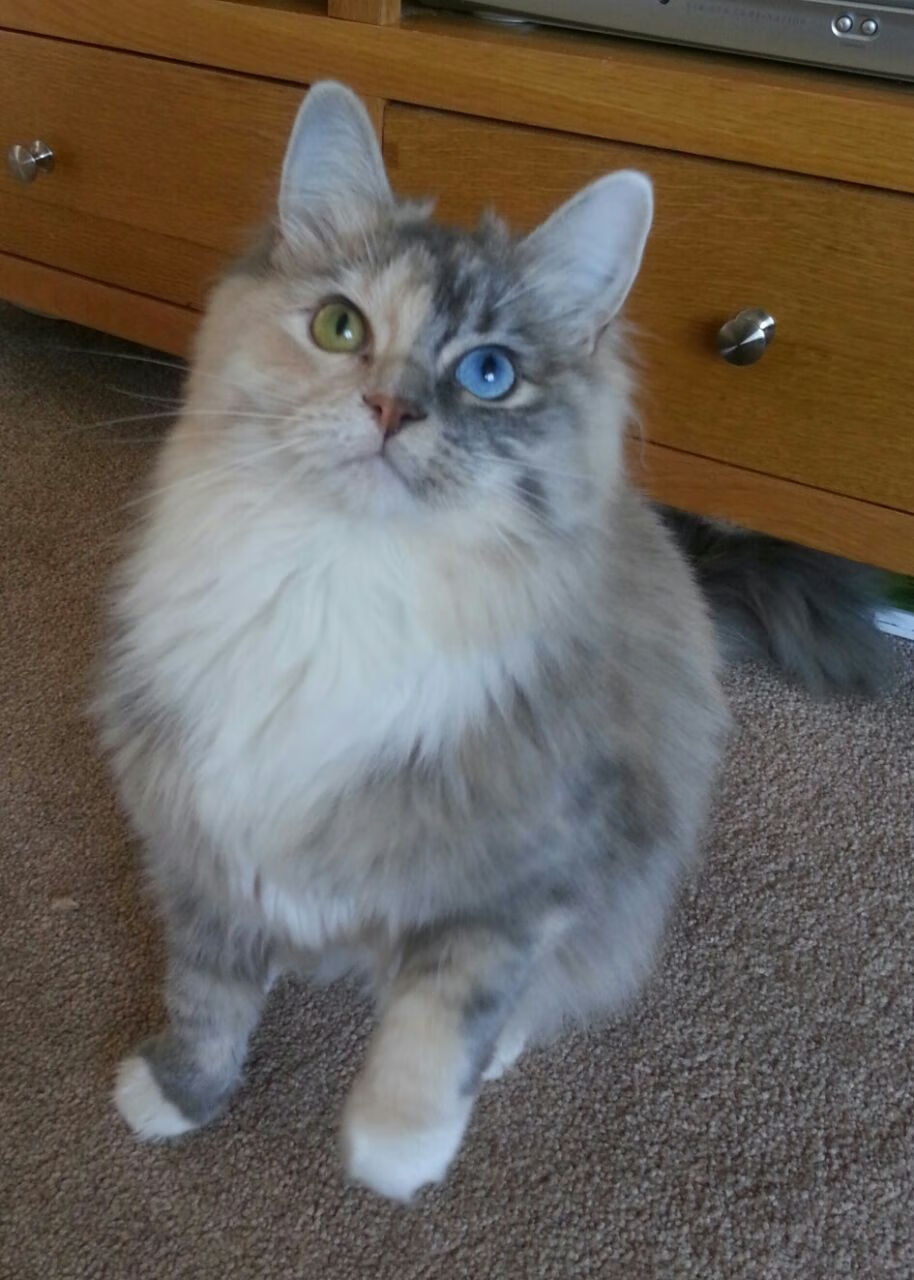 开云官网APP下载-球迷投票：你心中年度最棒的比赛瞬间是哪一刻？，球迷投票nba历史最佳