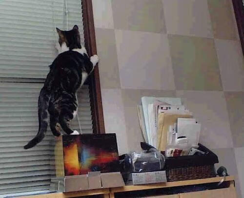 粉丝经济持续升温,电竞粉丝粘性和影响力显著增强,粉丝经济 电竞