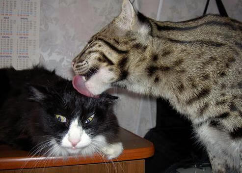 开云官网-勇士球队赛季战绩保持领先，勇士队史总得分排名