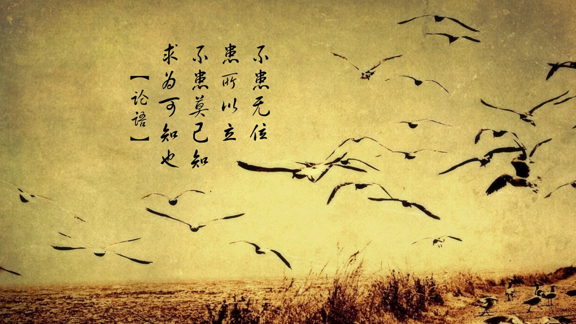 KAIYUN 中国大陆-北京国安前锋状态神勇，连续进球助球队获胜，北京国安最新球队