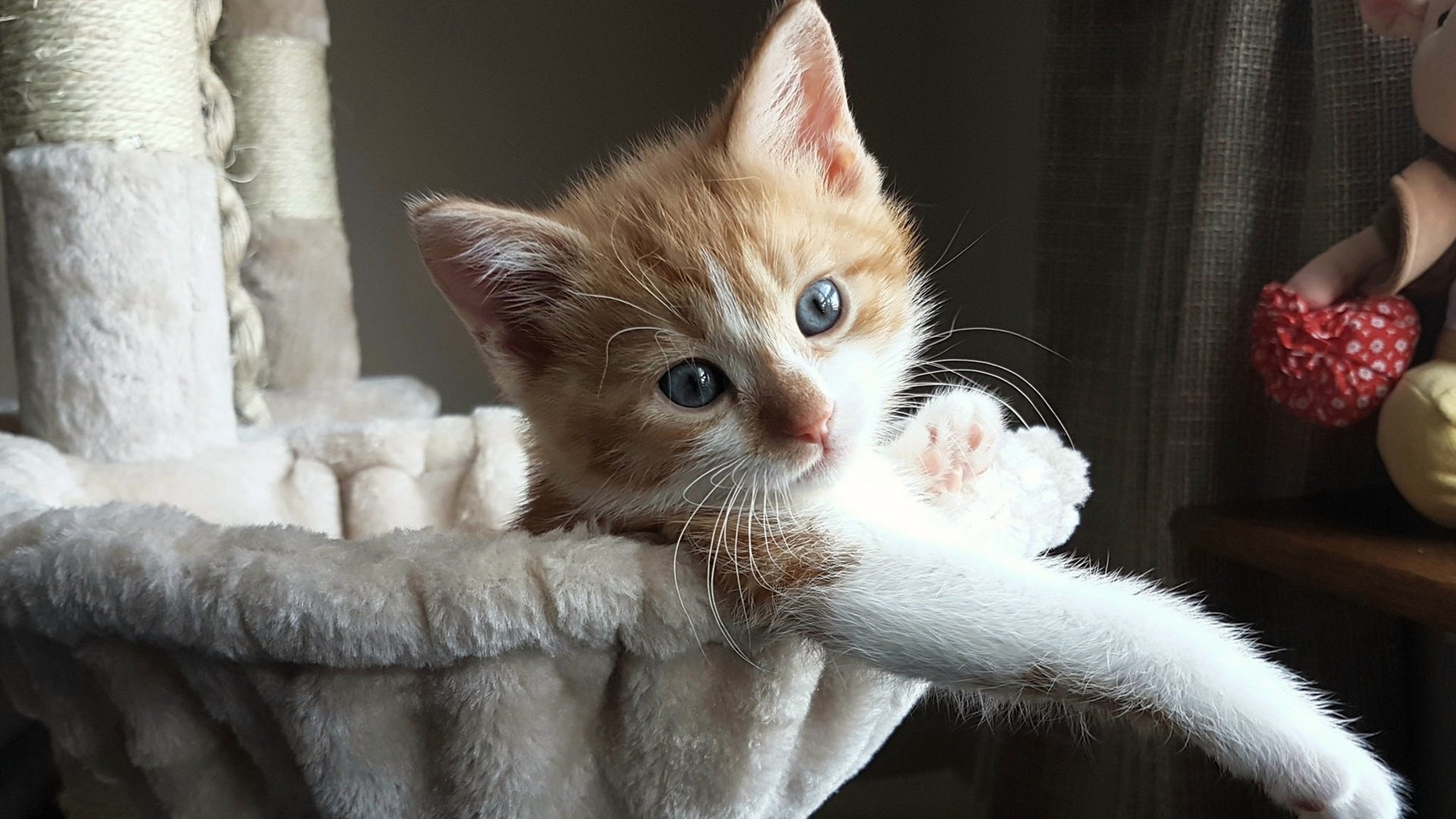 开云·体育官网-勇士球队新赛季战术体系完善，勇士队战术分析