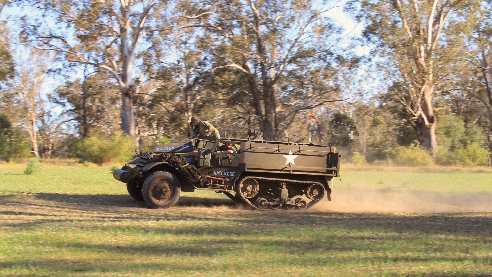 勒沃库森防线表现稳健，勒沃库森ds