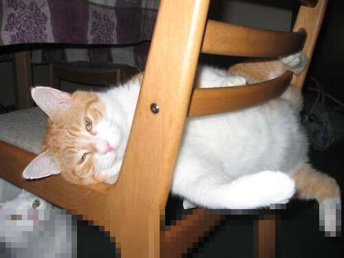 kaiyun官方入口登录-森林狼队失利后调整阵容，迎战强敌备战，森林狼队阵容名单最新