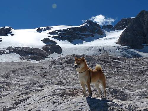 KAIYUN 中国大陆-澳洲球员获得最佳射手奖，刷新个人记录，澳洲足球名单