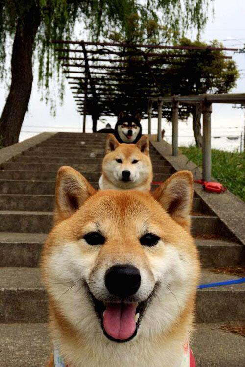 kaiyun网站-皇家贝蒂斯客场抢分成功，稳固在西甲中下游，皇家贝蒂斯厉害吗