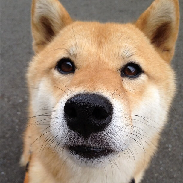 开云·体育官网APP下载-足球赛场上的风云变幻，谁能称霸巅峰？，足球赛场面