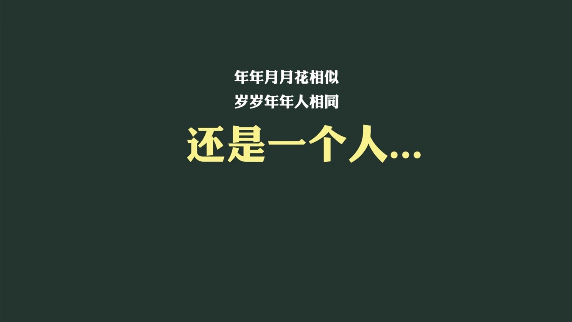 日本马术队在2024年亚洲马术锦标赛中获得团体盛装舞步金牌,表现优异。