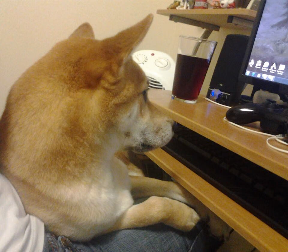 中小学体育课程改革成效评估,我国中小学体育课程评价存在的问题