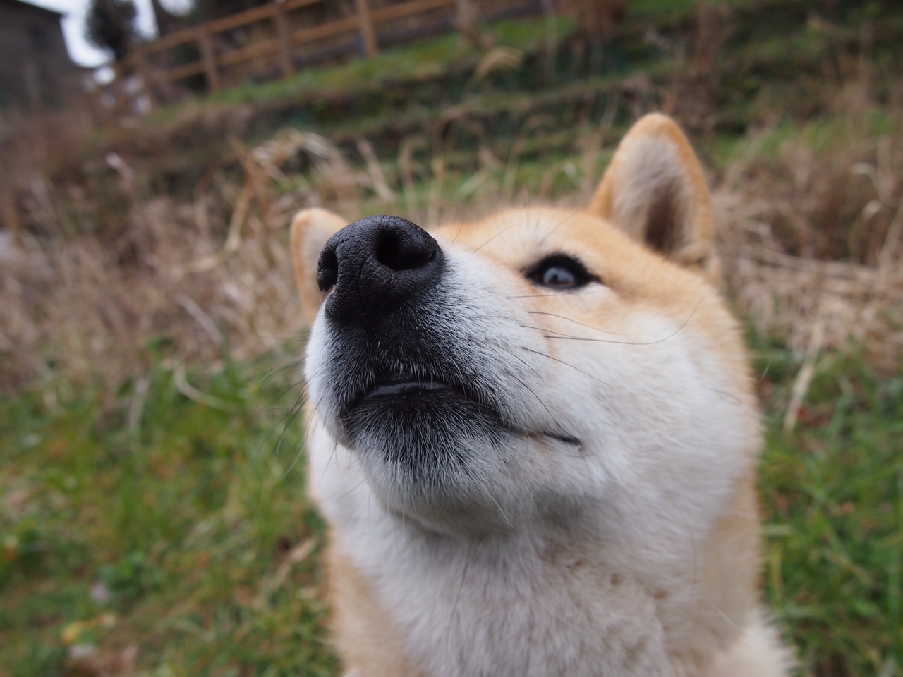 开云平台-中国男篮苦战四节惜败 球迷鼓励不放弃，中国男篮55分惨败