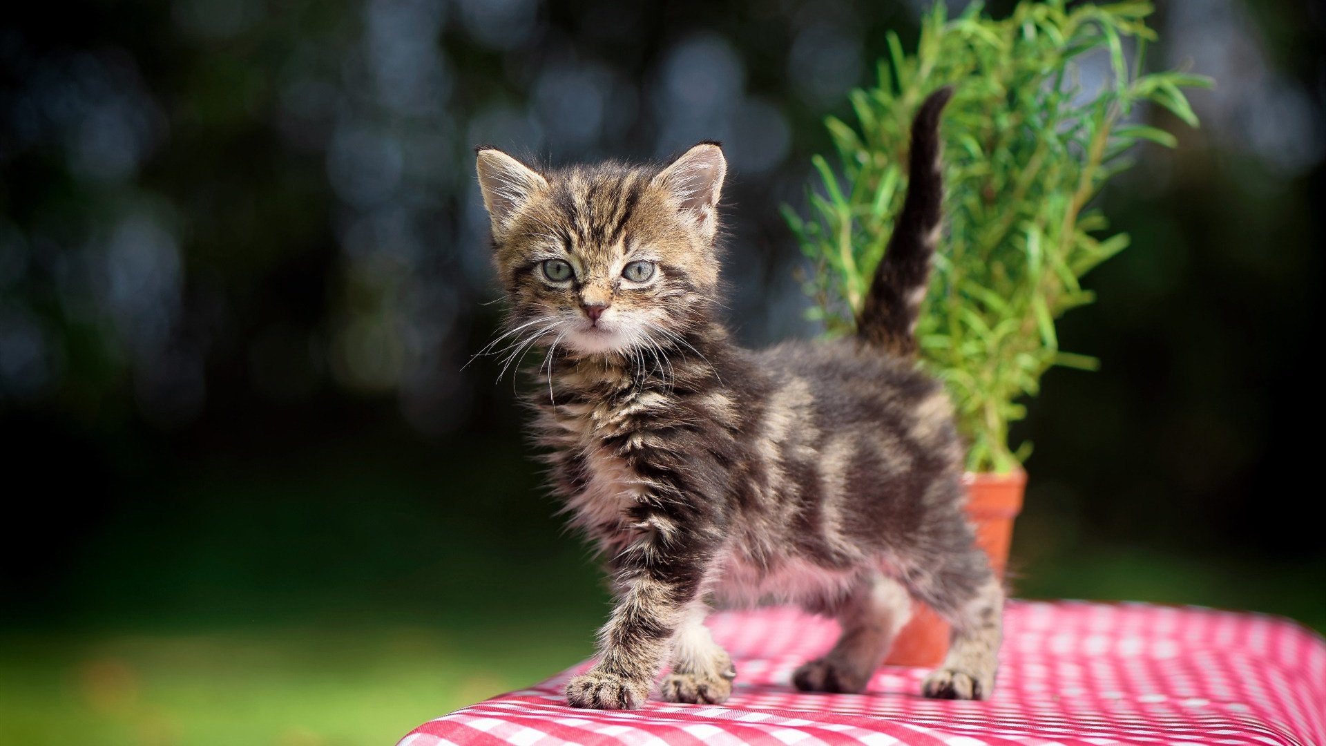 俱乐部财政管理如何避免资金断裂,俱乐部财政管理如何避免资金断裂现象