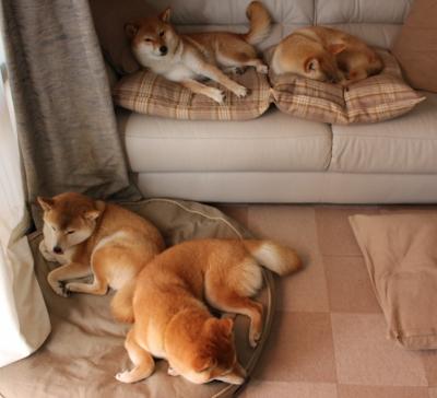 深圳领航队重视第二阵容轮换提升整体深度,深圳领航者比赛记录