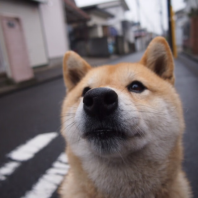 海湾者主帅:全队团结应对挑战,海湾联盟