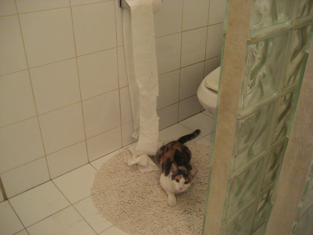 开云体育APP下载-自由泳德国选手突破1分关口，自由泳破纪录