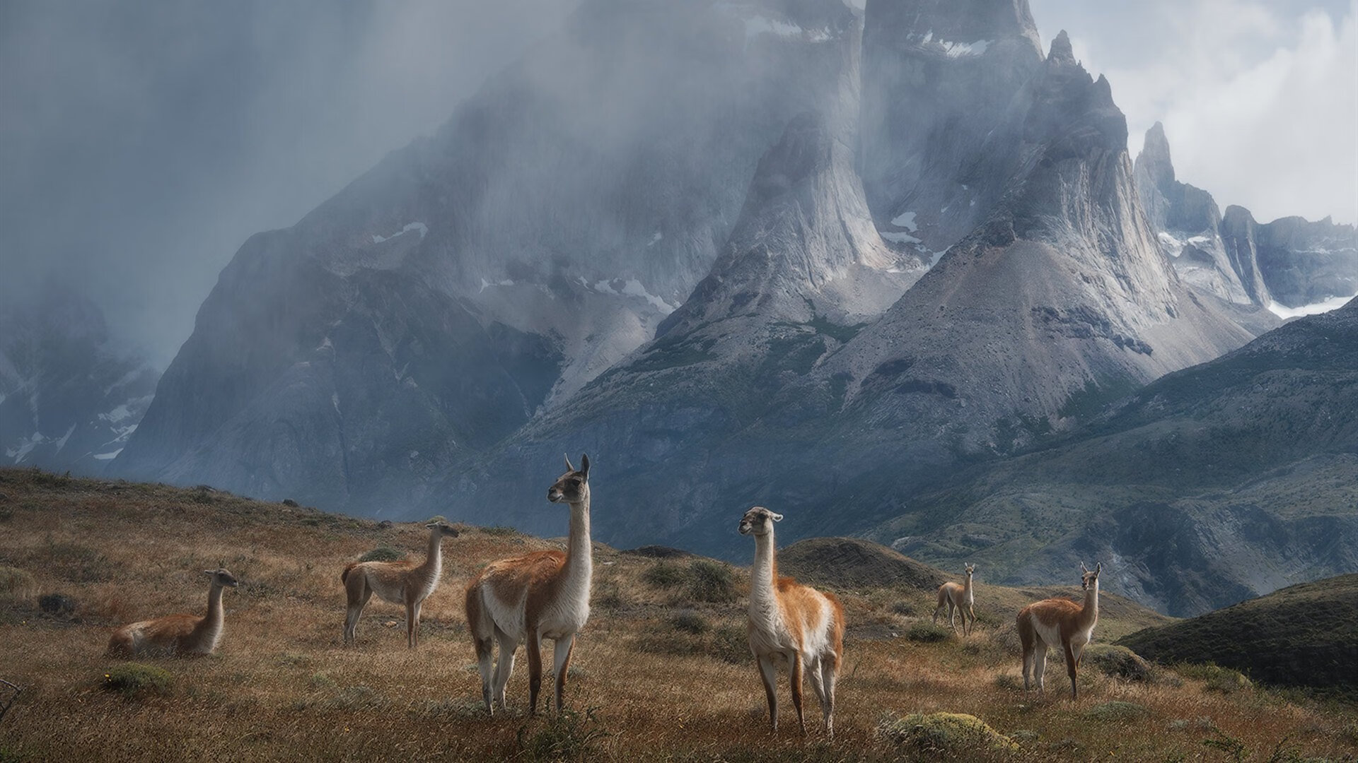 开云官网-波兰男篮在欧洲锦标赛中夺冠，夺得历史性第一金