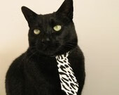 青训比赛设置摄像监控便于教练回看技战术细节,青训成员